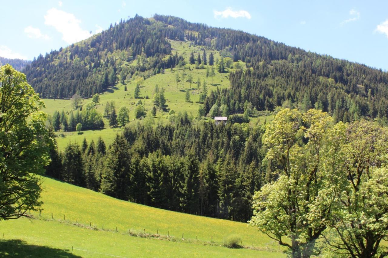 Zauneralm Aich  Extérieur photo